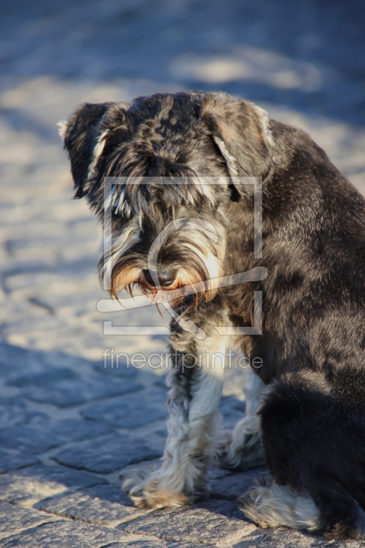 frei wählbarer Bildausschnitt für Ihr Bild auf Schieferplatte