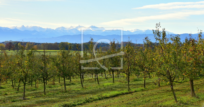 frei wählbarer Bildausschnitt für Ihr Bild auf Schieferplatte