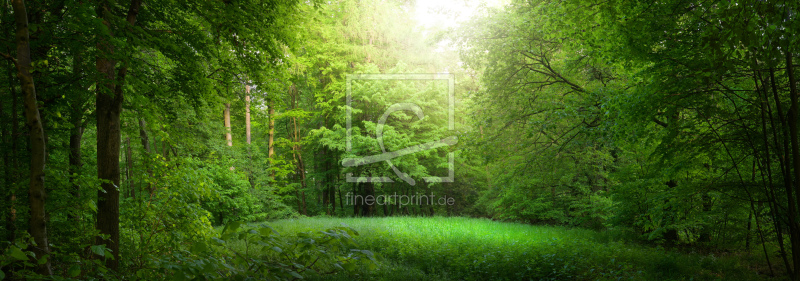 frei wählbarer Bildausschnitt für Ihr Bild auf Schieferplatte
