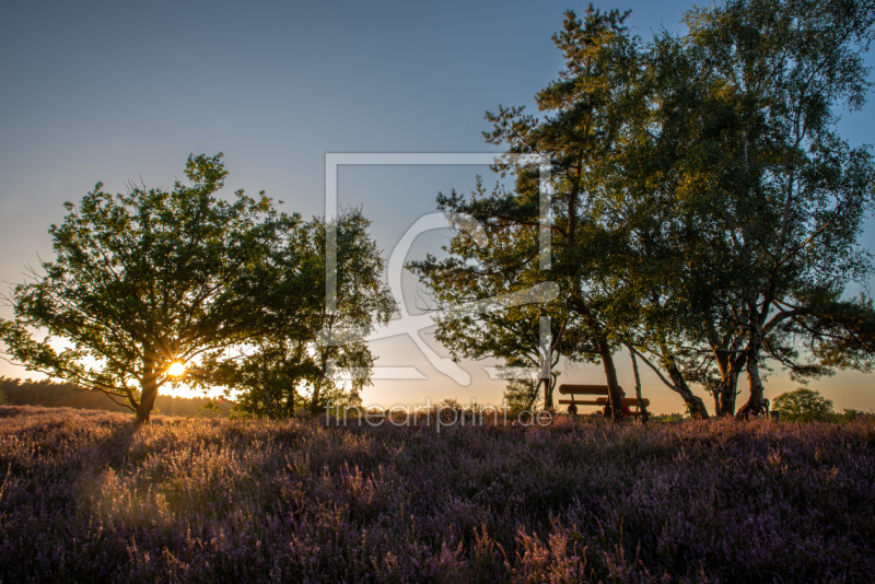 frei wählbarer Bildausschnitt für Ihr Bild auf Schieferplatte