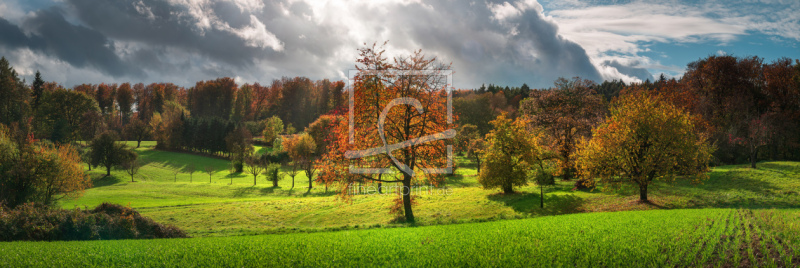 frei wählbarer Bildausschnitt für Ihr Bild auf Schieferplatte