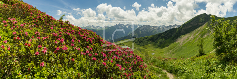 frei wählbarer Bildausschnitt für Ihr Bild auf Schieferplatte