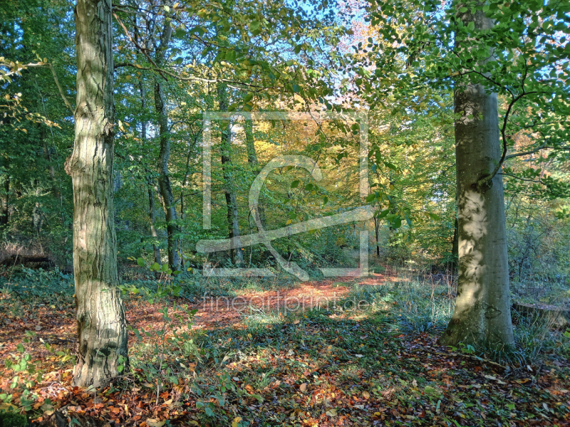 frei wählbarer Bildausschnitt für Ihr Bild auf Schieferplatte