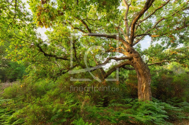 frei w&auml;hlbarer Bildausschnitt f&uuml;r Ihr Bild auf Schieferplatte