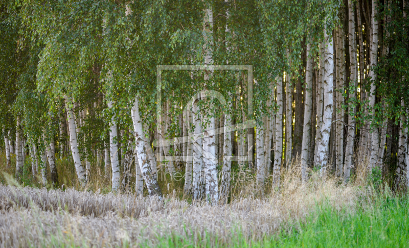 frei w&auml;hlbarer Bildausschnitt f&uuml;r Ihr Bild auf Schieferplatte