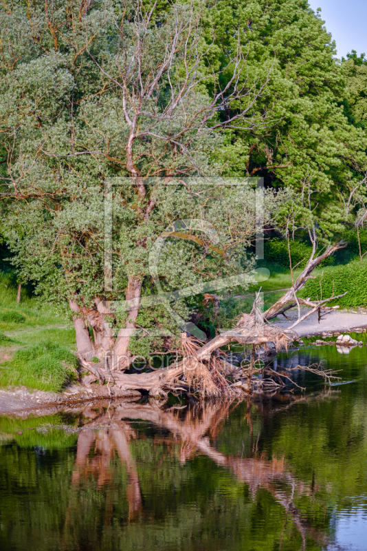 frei w&auml;hlbarer Bildausschnitt f&uuml;r Ihr Bild auf Schieferplatte