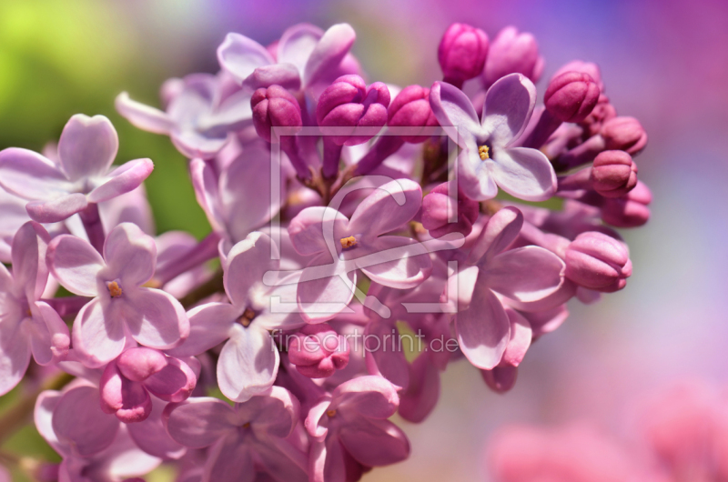 frei wählbarer Bildausschnitt für Ihr Bild auf Schieferplatte