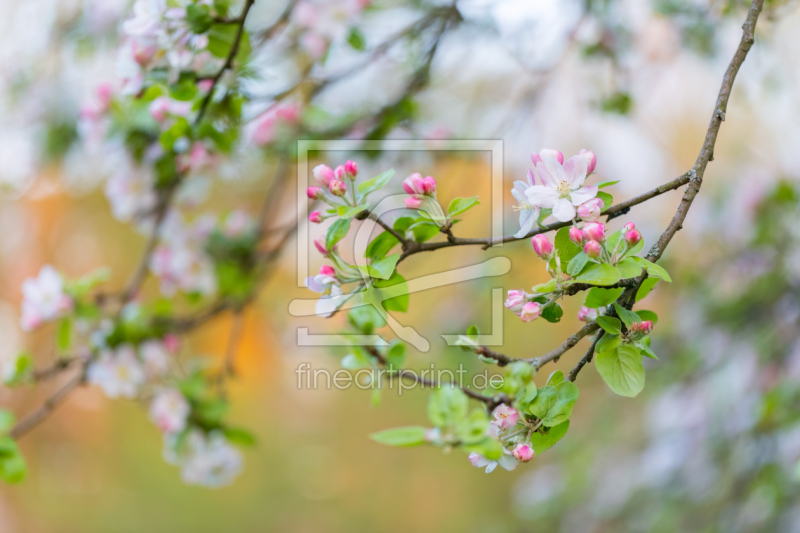 frei wählbarer Bildausschnitt für Ihr Bild auf Schieferplatte