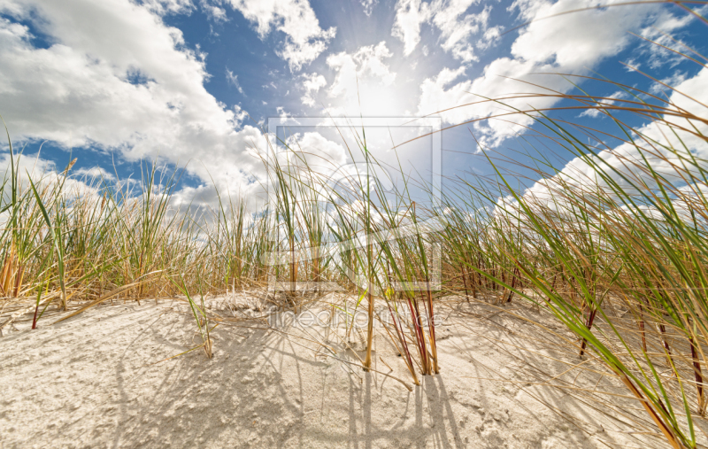 frei wählbarer Bildausschnitt für Ihr Bild auf Schieferplatte