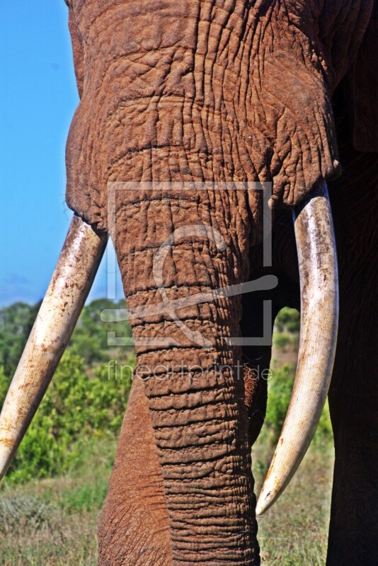 frei w&auml;hlbarer Bildausschnitt f&uuml;r Ihr Bild auf Schieferplatte
