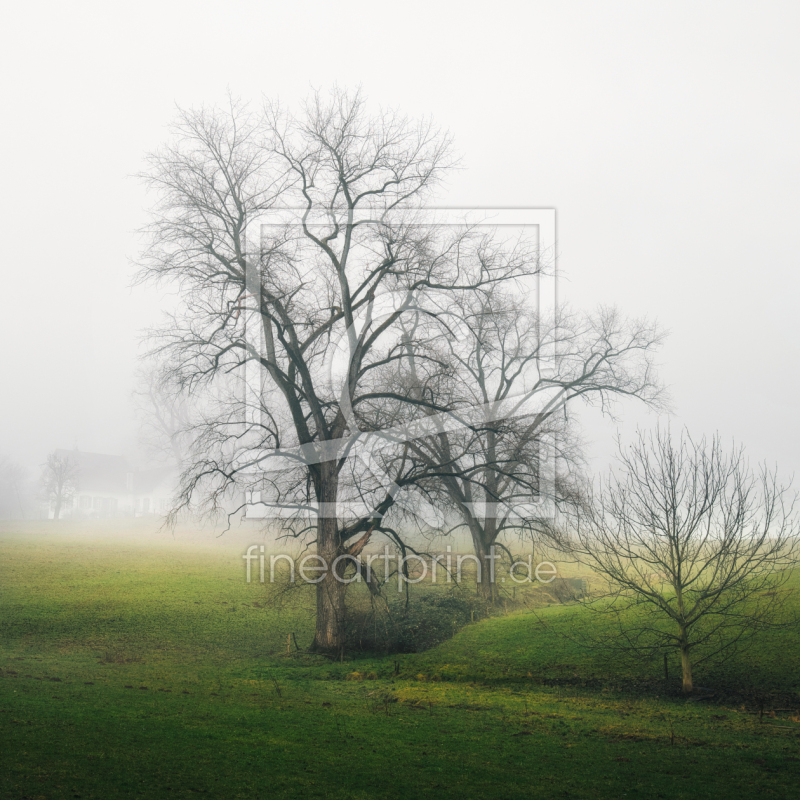 frei w&auml;hlbarer Bildausschnitt f&uuml;r Ihr Bild auf Schieferplatte