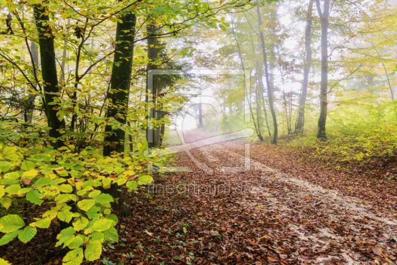 frei w&auml;hlbarer Bildausschnitt f&uuml;r Ihr Bild auf Schieferplatte