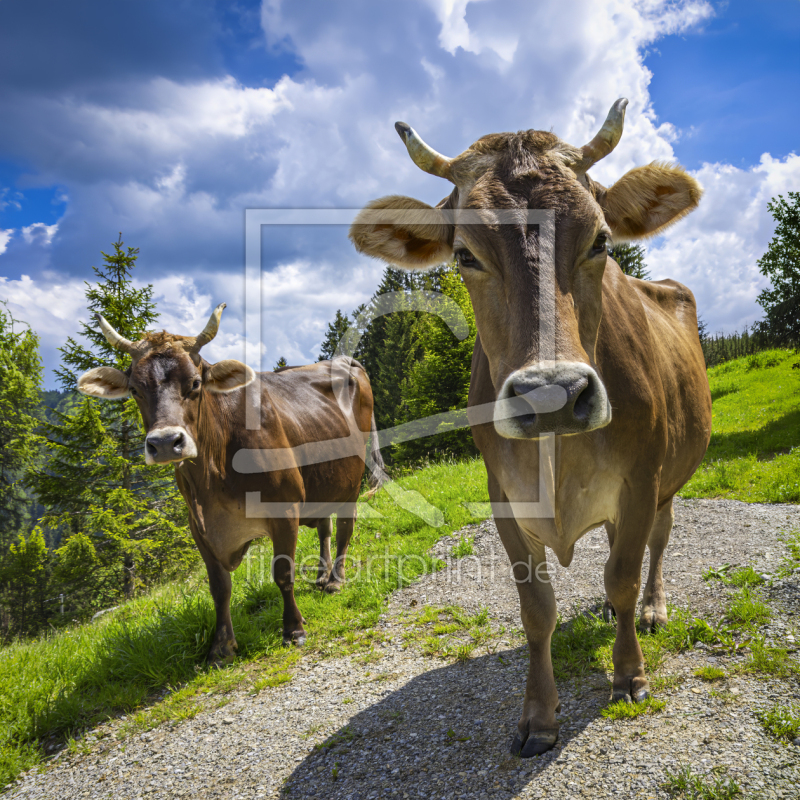 frei w&auml;hlbarer Bildausschnitt f&uuml;r Ihr Bild auf Schieferplatte