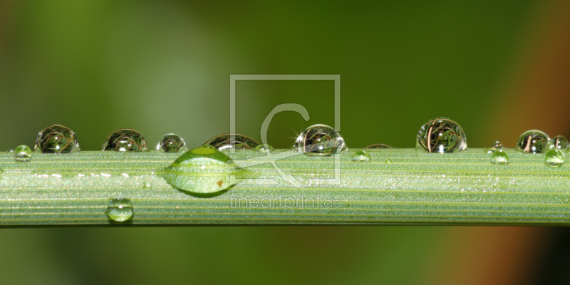 frei w&auml;hlbarer Bildausschnitt f&uuml;r Ihr Bild auf Schieferplatte