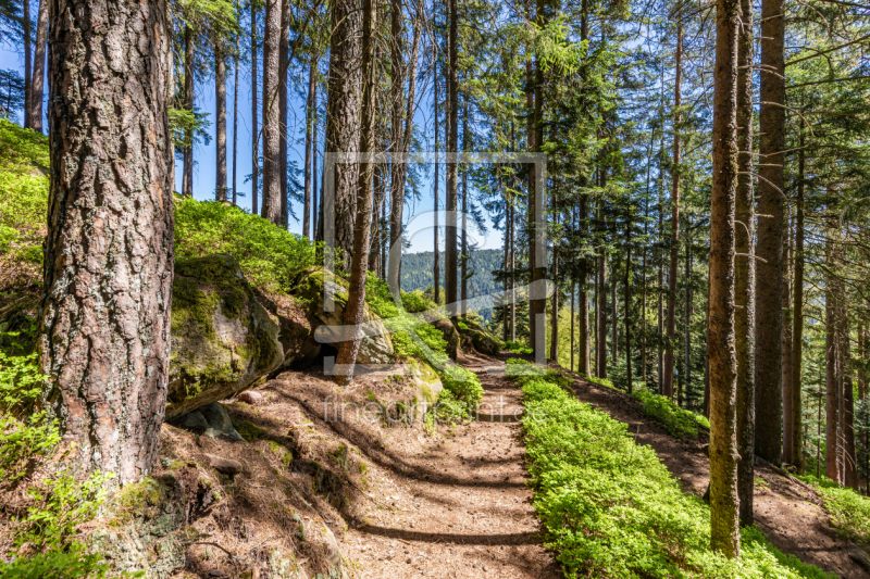 frei w&auml;hlbarer Bildausschnitt f&uuml;r Ihr Bild auf Schieferplatte