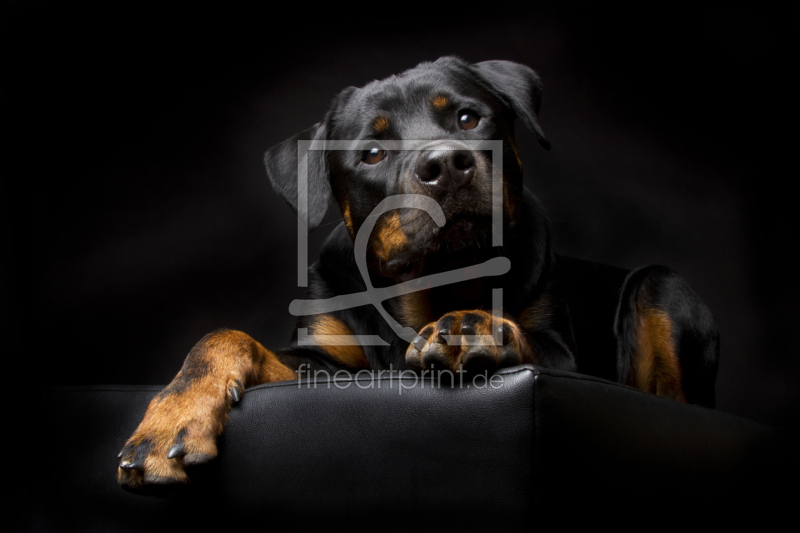 frei w&auml;hlbarer Bildausschnitt f&uuml;r Ihr Bild auf Tapete