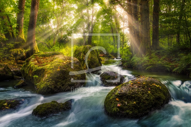 frei w&auml;hlbarer Bildausschnitt f&uuml;r Ihr Bild auf Tapete