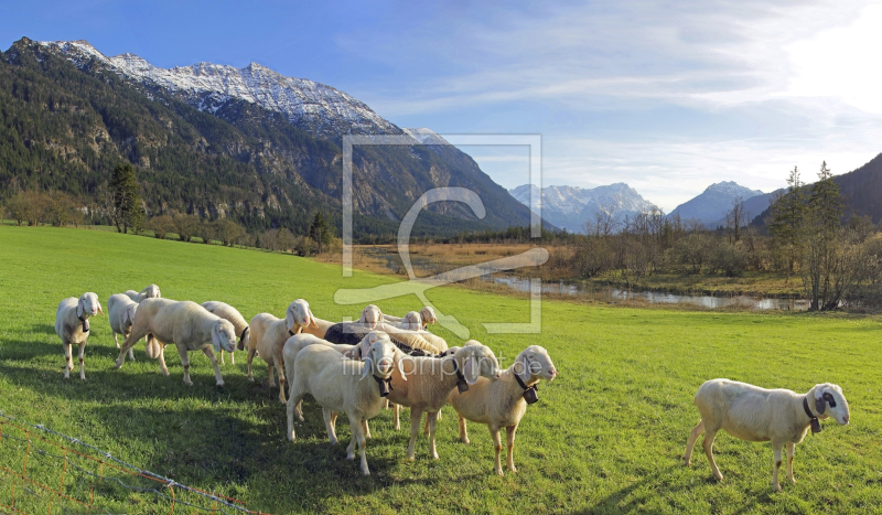 frei wählbarer Bildausschnitt für Ihr Bild auf Tapete