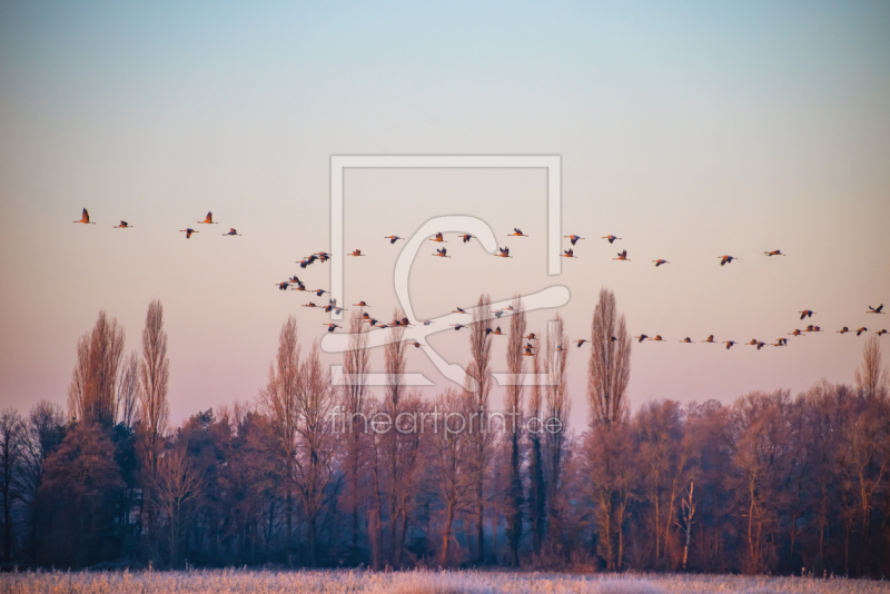 frei w&auml;hlbarer Bildausschnitt f&uuml;r Ihr Bild auf Tapete