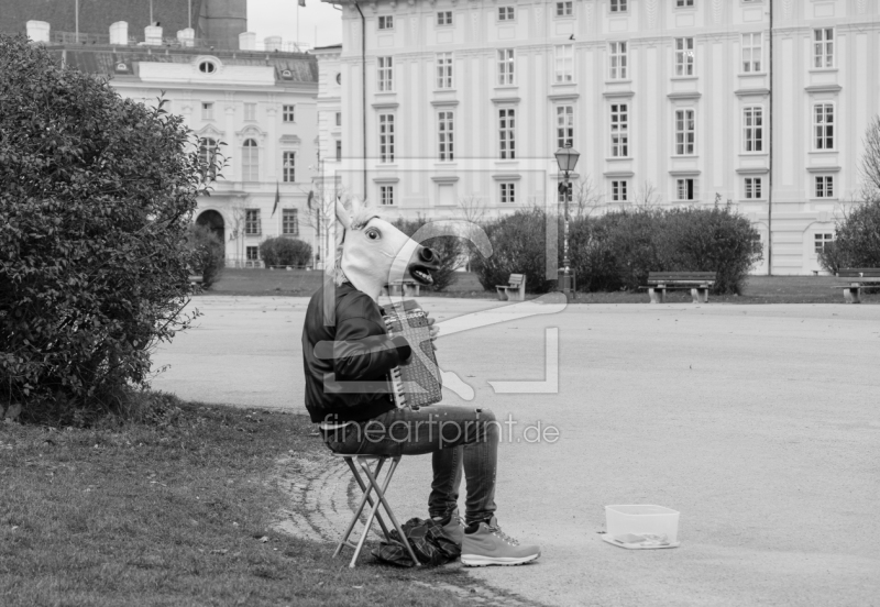 frei w&auml;hlbarer Bildausschnitt f&uuml;r Ihr Bild auf Tapete