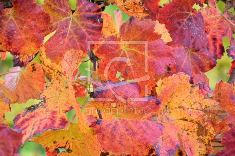 frei wählbarer Bildausschnitt für Ihr Bild auf Tapete