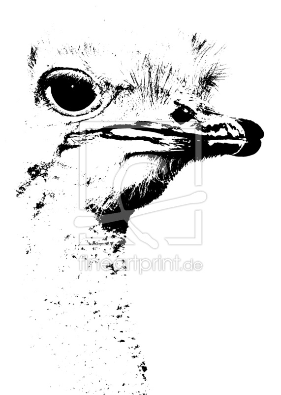 frei w&auml;hlbarer Bildausschnitt f&uuml;r Ihr Bild auf Tapete