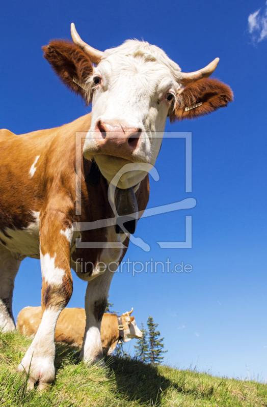 frei w&auml;hlbarer Bildausschnitt f&uuml;r Ihr Bild auf Tapete
