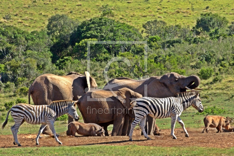 frei w&auml;hlbarer Bildausschnitt f&uuml;r Ihr Bild auf Tapete