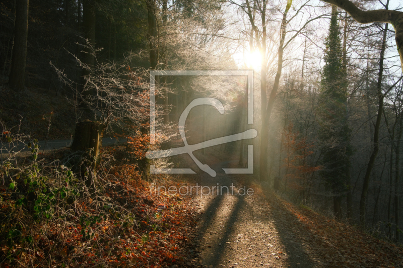 frei w&auml;hlbarer Bildausschnitt f&uuml;r Ihr Bild auf Tapete