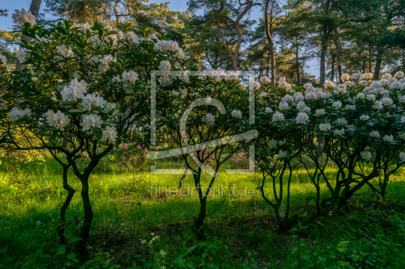 frei w&auml;hlbarer Bildausschnitt f&uuml;r Ihr Bild auf Tapete
