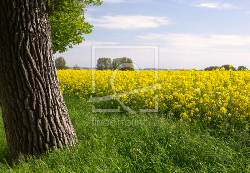 frei w&auml;hlbarer Bildausschnitt f&uuml;r Ihr Bild auf Tasse