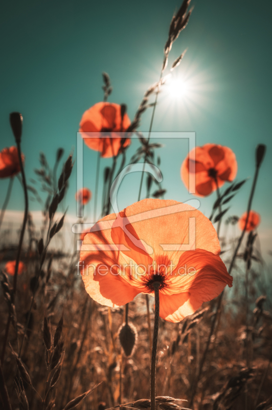 frei w&auml;hlbarer Bildausschnitt f&uuml;r Ihr Bild auf Tasse