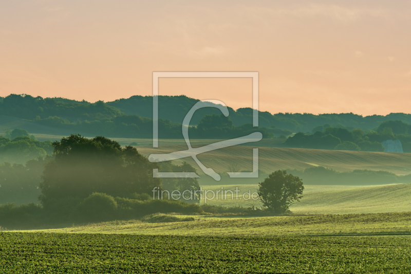 frei w&auml;hlbarer Bildausschnitt f&uuml;r Ihr Bild auf Tasse
