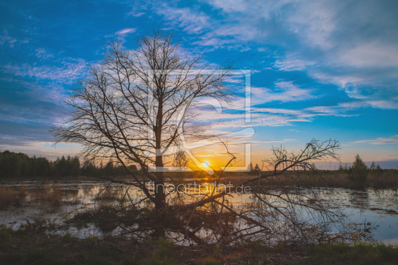 frei w&auml;hlbarer Bildausschnitt f&uuml;r Ihr Bild auf Tasse