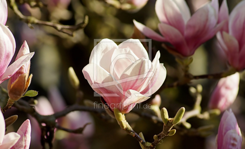 frei w&auml;hlbarer Bildausschnitt f&uuml;r Ihr Bild auf Tasse