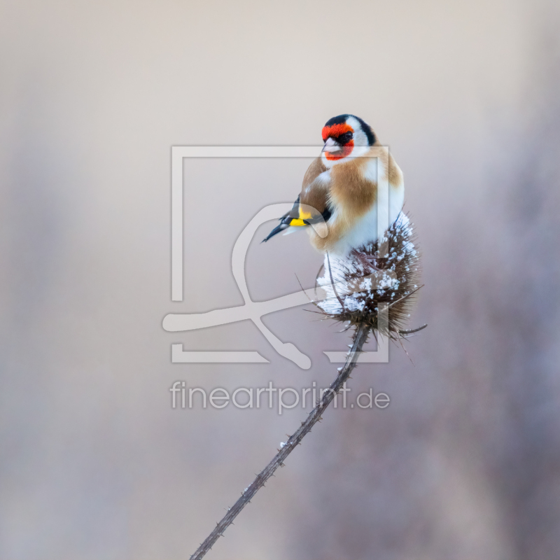frei wählbarer Bildausschnitt für Ihr Bild auf Tasse