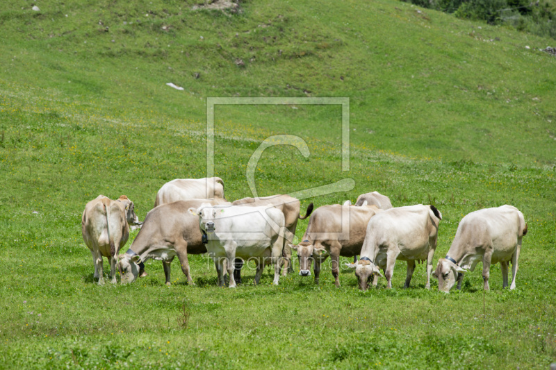 frei wählbarer Bildausschnitt für Ihr Bild auf Tasse
