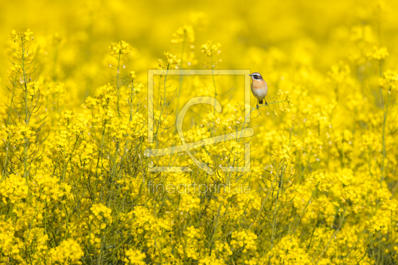 frei wählbarer Bildausschnitt für Ihr Bild auf Tasse