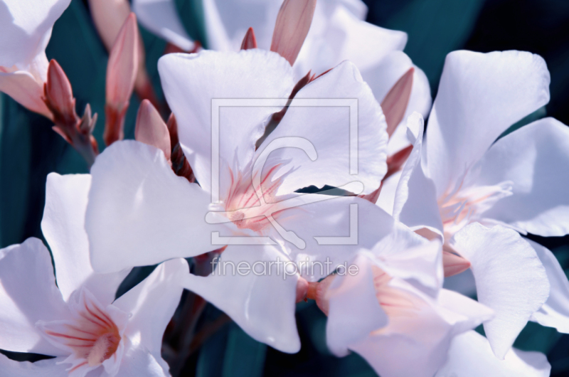 frei w&auml;hlbarer Bildausschnitt f&uuml;r Ihr Bild auf Tasse