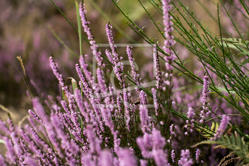 frei w&auml;hlbarer Bildausschnitt f&uuml;r Ihr Bild auf Tasse