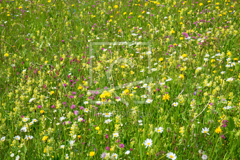 frei w&auml;hlbarer Bildausschnitt f&uuml;r Ihr Bild auf Tasse