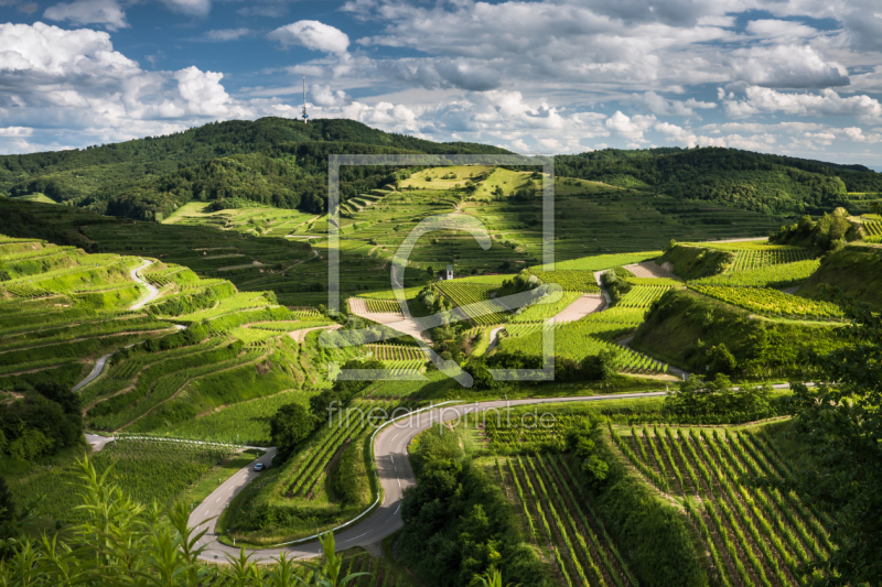 frei wählbarer Bildausschnitt für Ihr Bild auf Teppich