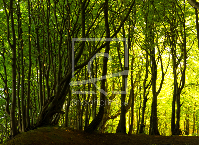 frei w&auml;hlbarer Bildausschnitt f&uuml;r Ihr Bild auf Tischdecke