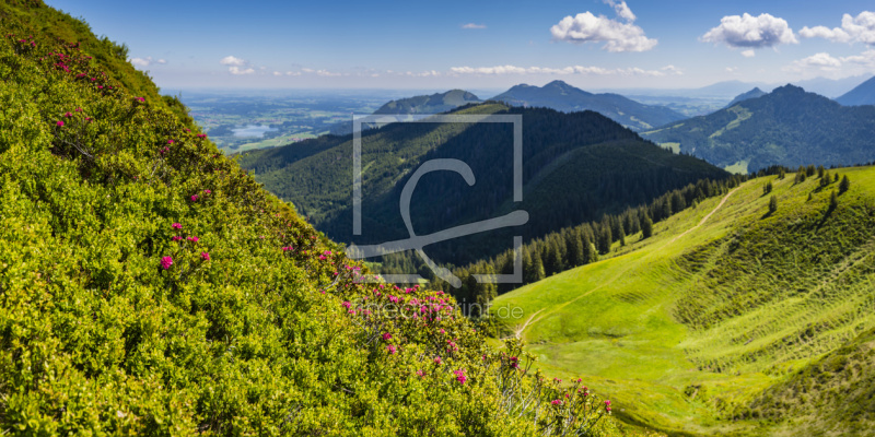 frei wählbarer Bildausschnitt für Ihr Bild auf Tischdecke