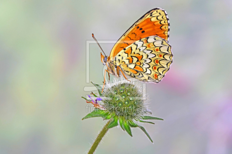 frei wählbarer Bildausschnitt für Ihr Bild auf Tischdecke