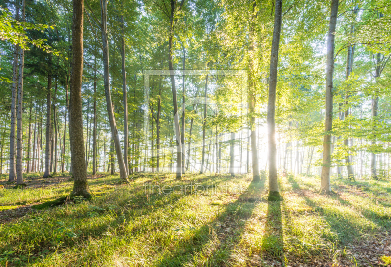 frei wählbarer Bildausschnitt für Ihr Bild auf Tischdecke