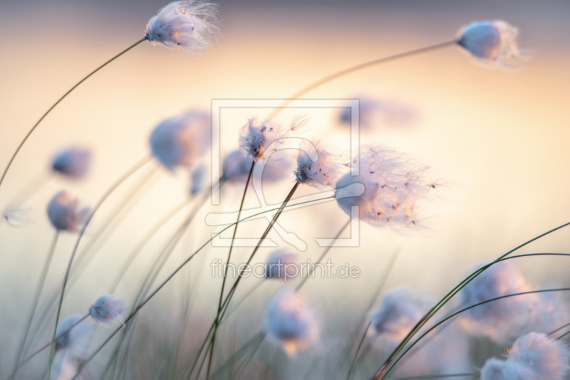 frei w&auml;hlbarer Bildausschnitt f&uuml;r Ihr Bild auf Tischdecke