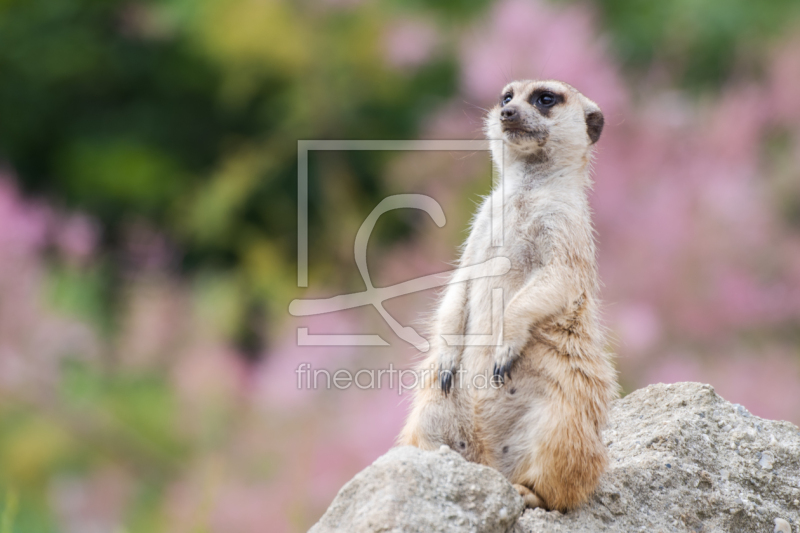 frei wählbarer Bildausschnitt für Ihr Bild auf Tischdecke