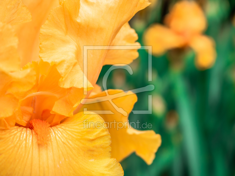 frei w&auml;hlbarer Bildausschnitt f&uuml;r Ihr Bild auf Tischdecke