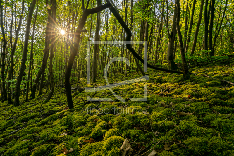 frei wählbarer Bildausschnitt für Ihr Bild auf Tischdecke